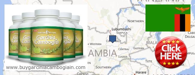 Dónde comprar Garcinia Cambogia Extract en linea Zambia